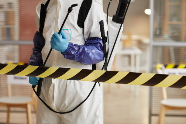 Professional Sewage Cleanup technician working in Takoma Park, MD